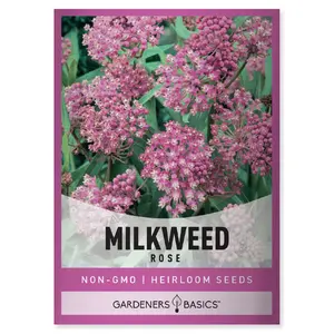 Rose (Swamp) Milkweed Seeds Milk Weed Plant Seeds
