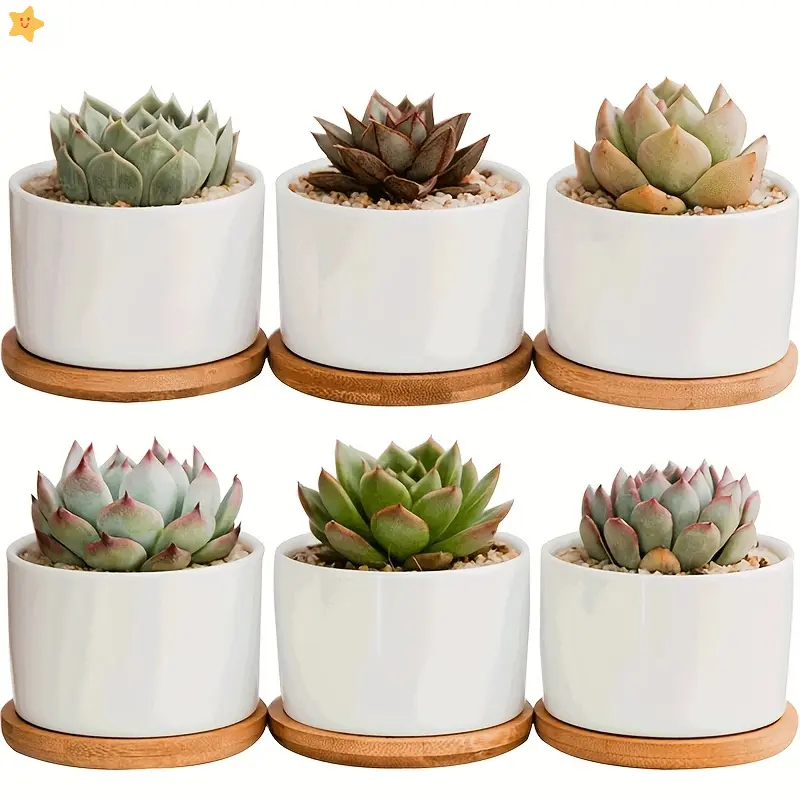 6pcs Minimalist Modern Round Polished White Porcelain Succulent Pots with Bamboo Trays, Indoor-Outdoor Ceramic Planters for Office Desktop Balcony Decoration, Home Garden Supplies, Gardening Gift