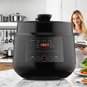 FCPVHOY 9-in-1 Multi Cooker 6-Liter 1000W Stainless Steel Programmable Pressure Cooker Slow Cooker Rice Maker Steamer Sauté Pan Food Warmer Yogurt Maker