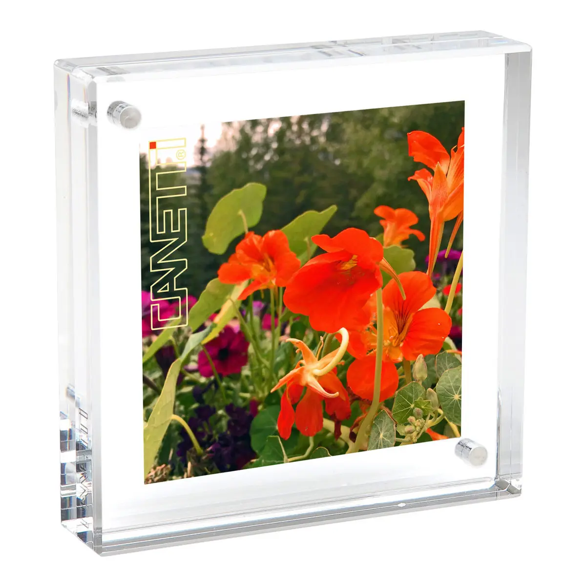 Canetti Original Magnet Frame, 2x2", Clear