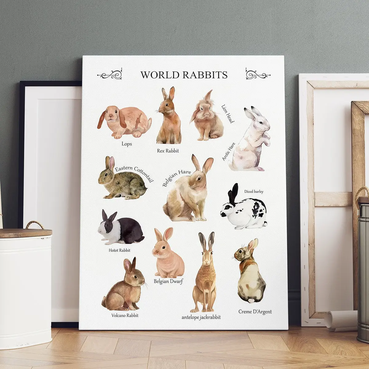 1 Count wooden frame canvas, World Rabbit Breed poster, fashion decoration, Modern family poster, beautifully printed canvas, suitable for living room and corridor wall art, HD, waterproof, art
