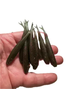 2.5" JIG MINNOW WATERMELON RED FLAKE