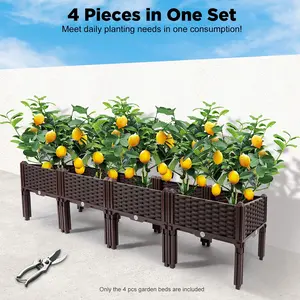 Raised Garden Bed Planter Box With Legs, Outdoor & Indoor Vegetable Growing Box For Tomatoes Herbs Carrots, Elevated Plastic Garden Bed With Drainage, Easy Assemble Self Watering Planter For Patio Balcony Backyard