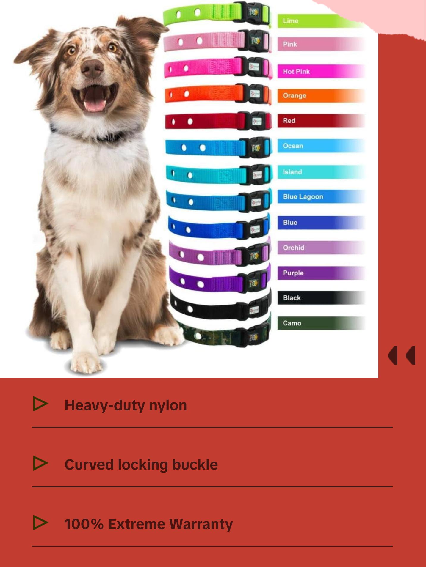 Dog Collar Replacement Strap - Bright Orange - Compatible with Nearly All Brands and Models of Underground Dog Fences