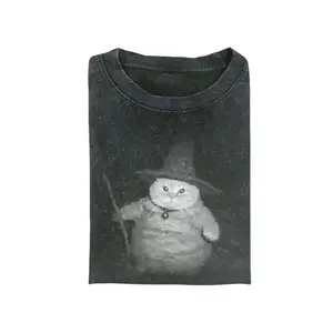 Wizard Cat Vintage Tee, Cat T-Shirt, Meme Cringe Funny Dumb Shirts, Unisex Movie Shirt Menswear Womenswear Streetwear
