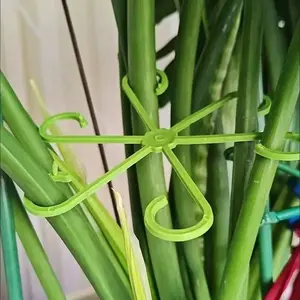 Plant Stem Support Bamboo Stick Collapsible Frame Auxiliary Branch Gardening Flower Stand, Durable Plant Holder for Indoor & Outdoor Use, Garden Obelisk Trellis, Indoor Plant Trellis