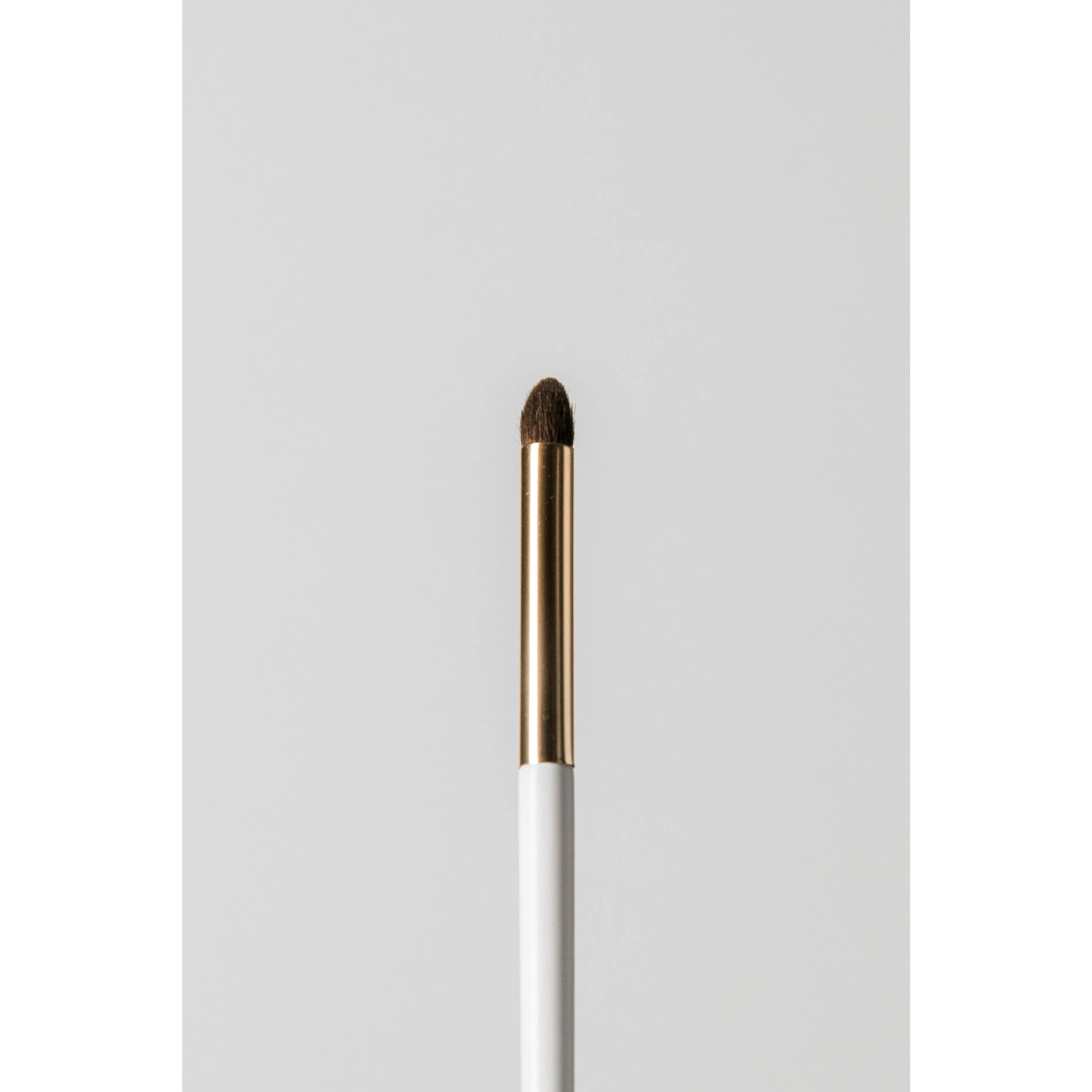 Pencil Brush (E5)