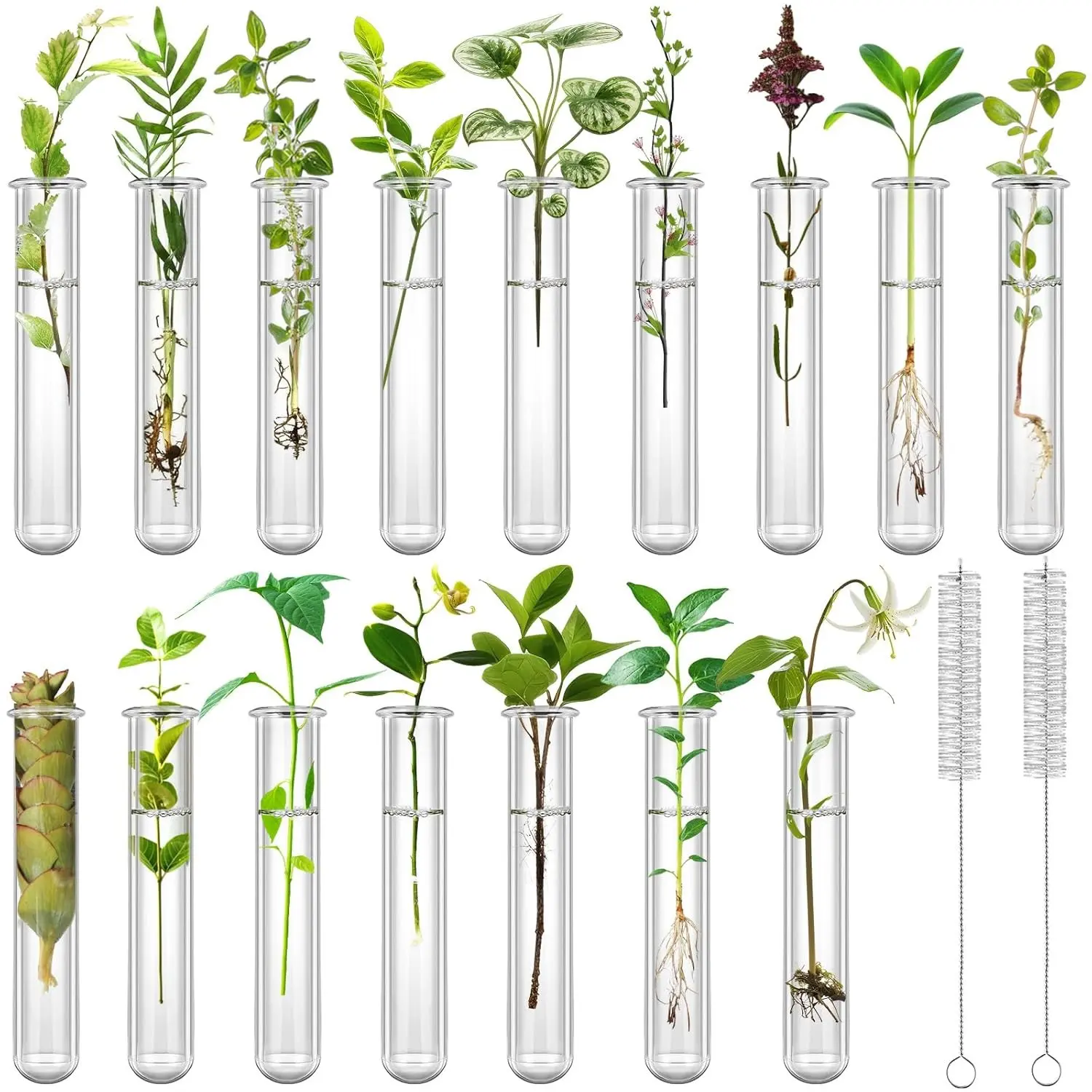 16 Pcs Clear Plant Propagation Tubes 20ml Plastic Test Tubes for Scientific Experiments Sample Testing, Round Bottom Test Tube for Home Office Desktop Decoration Bead Party Candy Storage