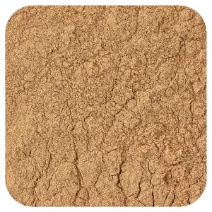 Frontier Co-op Organic Powder Light Roasted Carob, 16 oz (453 g)