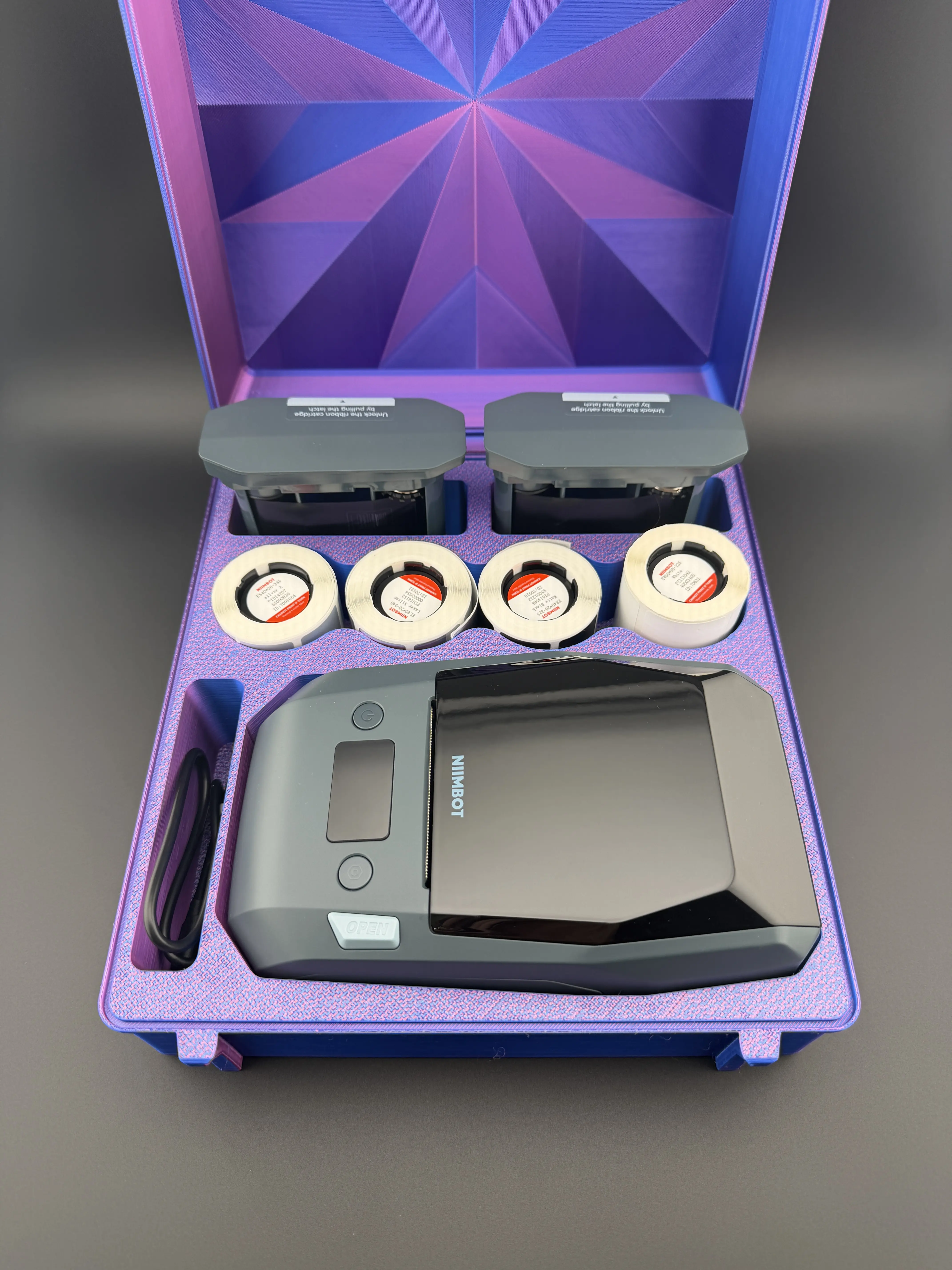 Niimbot M2 Organizing Case