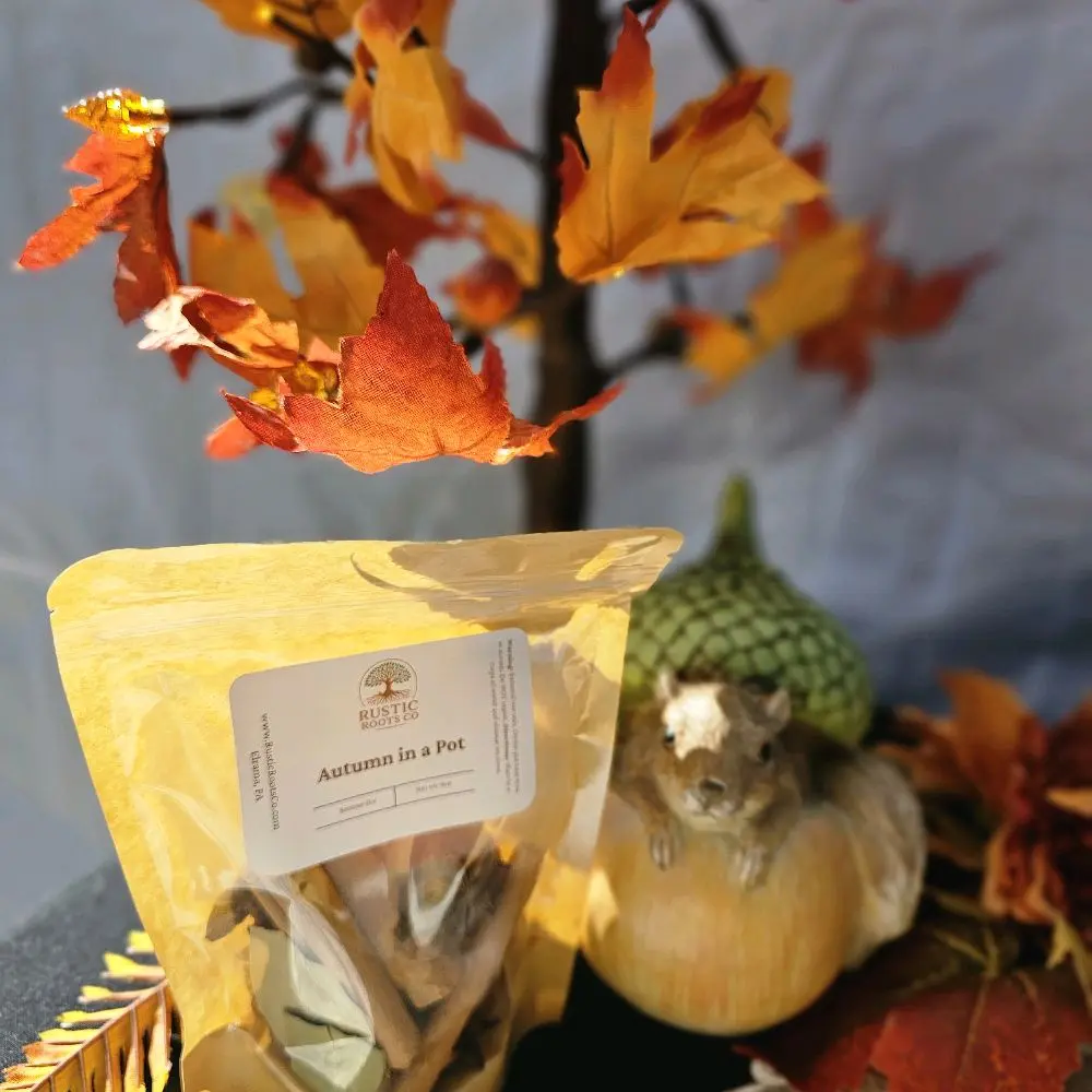 Holiday Simmer Pot Kits - Stovetop Potpourri - Dried Fruits, cinnamon 8