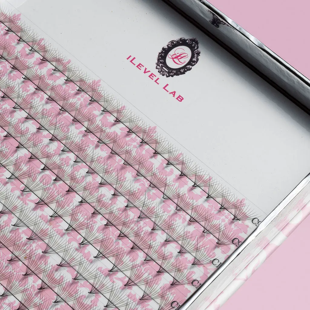 12D PRO MADE  EYELASH EXTENSION FANS - TRAYS
