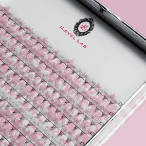 12D PRO MADE  EYELASH EXTENSION FANS - TRAYS