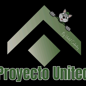 United Contracting LLC.