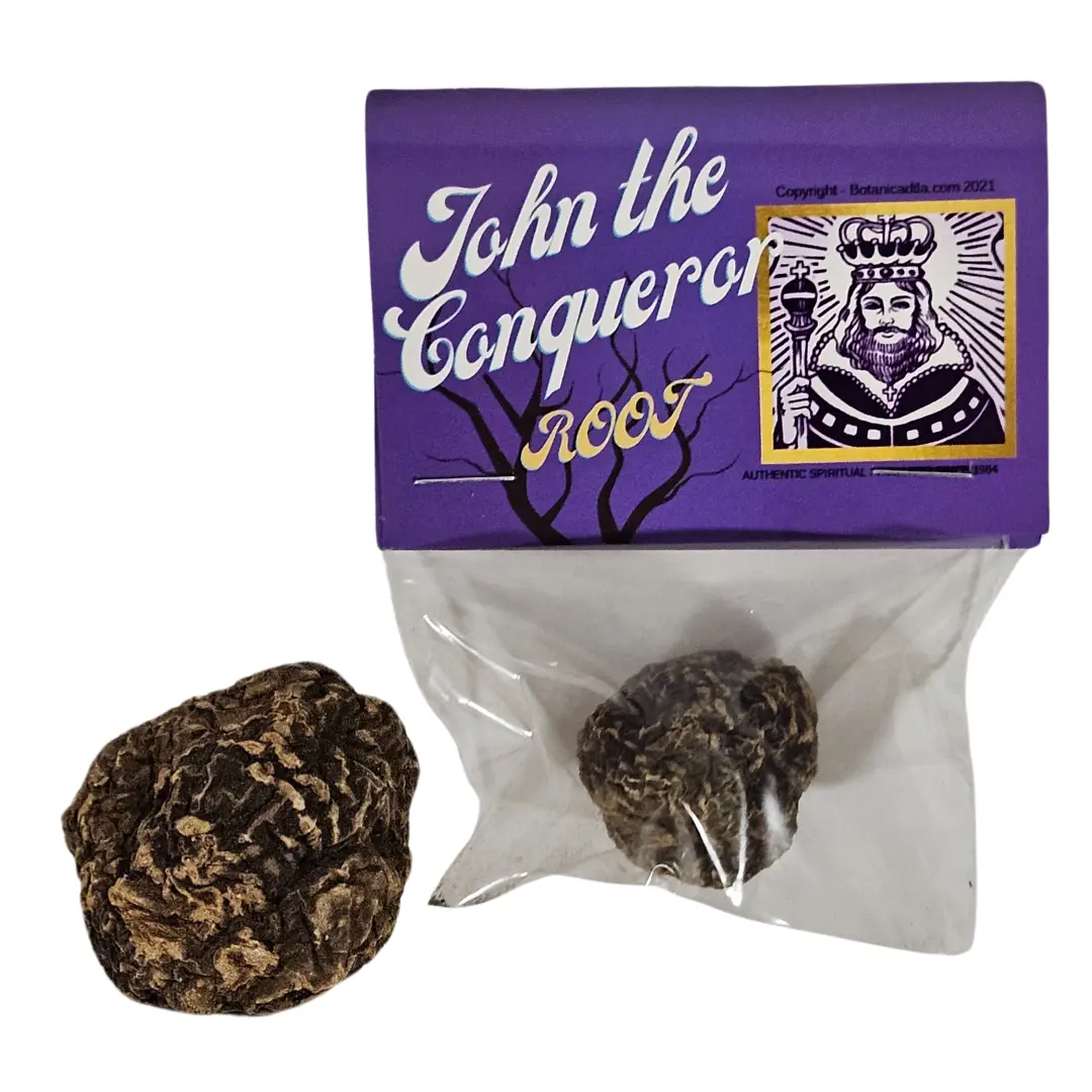 John the Conqueror Root – Authentic High John Root for Luck, Power & Spiritual Work – Hoodoo Root for Money, Strength & Protection