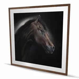 Begin Home Decor C1FM484800MPN3 48 x 48 in. Loneliness Horse - Brown Framed Matted Print Wall Art for Home Decor