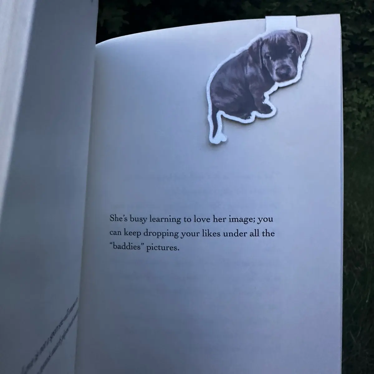 Bookmarks customized for personal preferences.  Customized Bookmarks for Personal Use