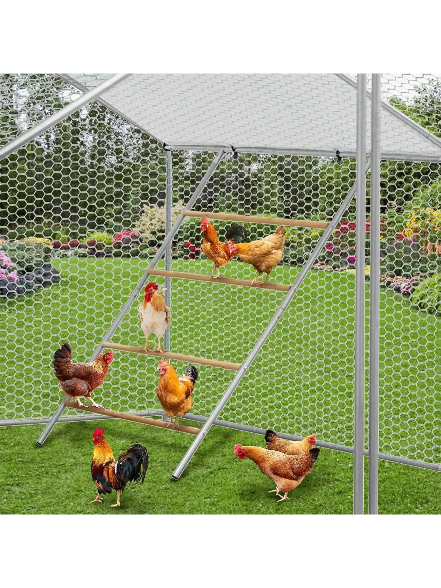 Premium Wood Large Silver Chicken Perch with Galvanized Tube - 55'' x 39'' Poultry Roosting Bars, Vertical Space Maximizer, Backyard Flocks Exercise Aid, Easy Assembly, Smooth Surface, Easy-to-Clean Hen Coop Accessory