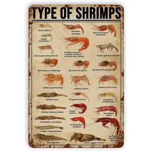 Shrimp Knowledge Posters Metal Signs Home Decor Type of Shrimps Room Decor Science Education Retro Wall Decor Printing Plaque 12x16 Inches