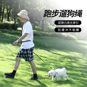 Dog Running Leash Set with Luminous Reflective Features Pet Shock Absorbing Elastic Walking Leash Anti Explosion Non Restrictive Automatic Retractable for Small Medium Large Pets adjustable harness easy control handle puppy seat belt safety hook doggood s