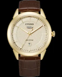 Citizen Rolan Watch - Elegant Design Eco Drive Features Durable Strap Mint Condition