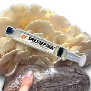 Super Scallop Oyster (Pleurotus Ostreatus) Liquid Culture