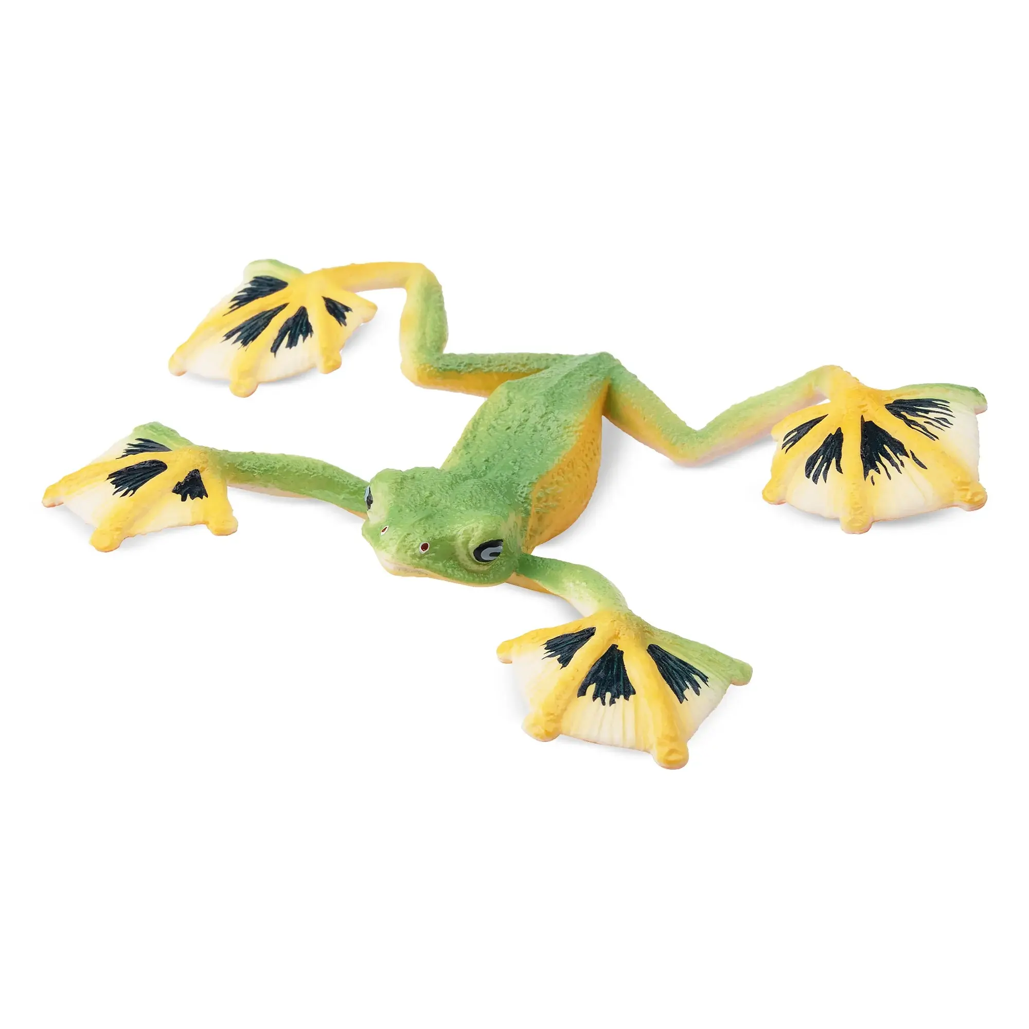 Toymany Hand-Painted Wallace’s Frog Figurine - PVC Plastic Action Figure, Realistic Reptile Model for Age 3+, Montessori Sensory Play, Thoughtful Gifts, Desk & Home Décor