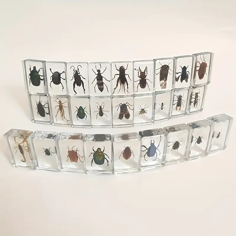 6 Transparent Amber-Simulated Insect Resin Specimen Blocks - Hand Dropper-Crafted Bookends, Decorative Home Decor Statues, 6-Piece Teaching Aids & Collectibles
