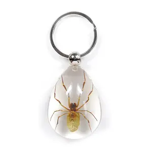 Clear Pendant Keychain with Real Spider