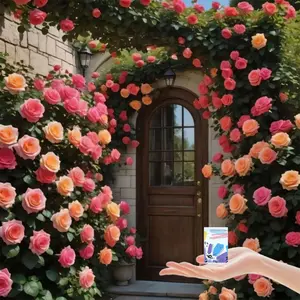 300 Climbing Rose Seeds Mixed Color - Non-GMO Perennial Vine Flower for Home Garden Decor Easy growing Plant Outdoor Blooming Seeds for DIY Gardeners, Home Garden Flower Plants Seeds