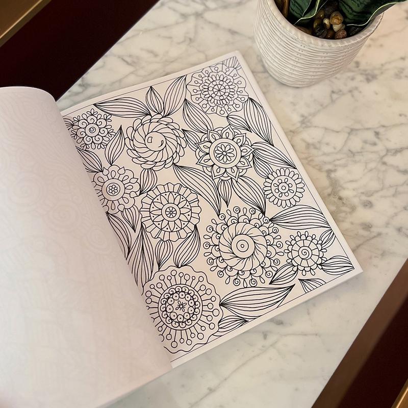 Zendoodle Coloring: Mindful Moments by Deborah Muller (Paperback)