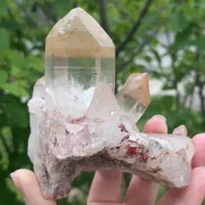 Himalayan Quartz