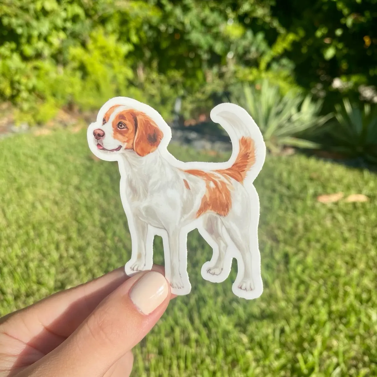 Classic Brittany Spaniel Vinyl Sticker, 2.7x3in