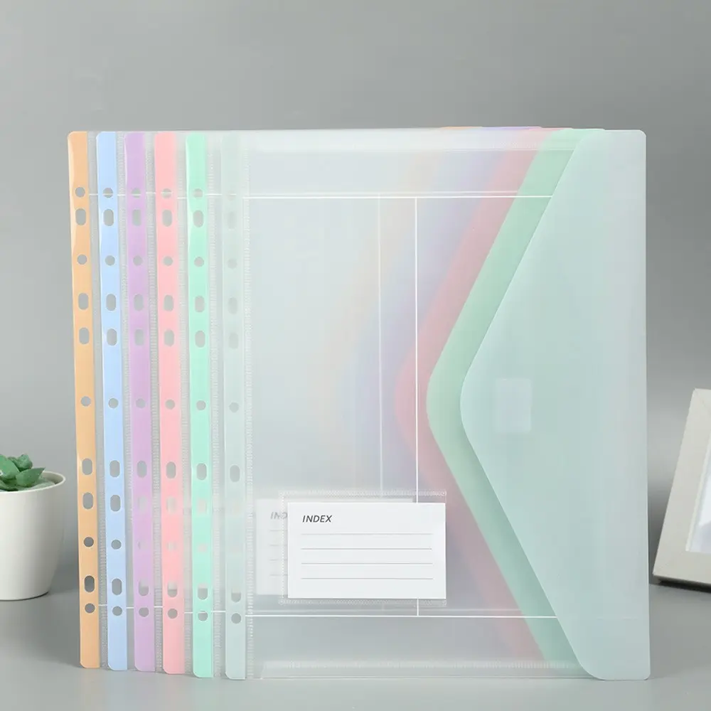 6 Color 12 Pack Macaron Style PP Plastic Envelope Binder Pockets, Transparent File Folder, 11 Hole Binder, School Office Supplies, File Organizer, Plastic Folders, Document Organizer
