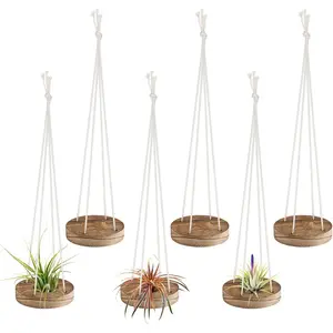 6 count  Wooden Air  Holder - 3" Round Airplants Live Hanger with Ropes, Rustic Tillandsia Succulent Display Container Stand for  Office Decor Housewarming  (Excluding )