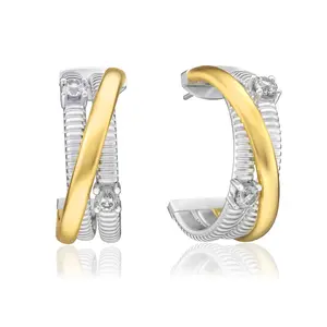 Aprilery Mixed-Tone Hoop Earrings – Minimalist Zircon Accent Jewelry for Women, Modern Two-Tone Design