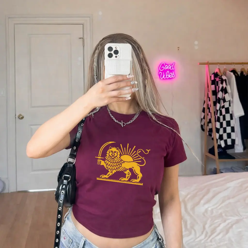 Gildan 5000B T-Shirt Persian Flag, Persian Flag Symbol, Shiro Khorshid, Lion and Sun Unisex Sweat, Free Iran, Zan Zendegi Azadi, Stand with Iranian Women Y2K Baby Tee