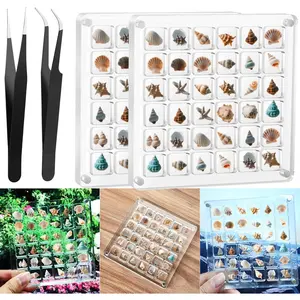 Acrylic Seashell Display Box Clear Sea Shell Holder Beach Shelling Collecting Tools Storage Organizer Tiny Case for Seashell Diamond Beads (2 pack-72 grids)