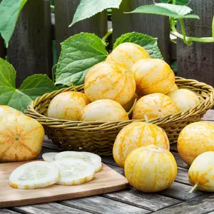 Lemon Cucumber Seeds