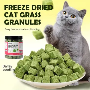 120g Cat Grass Treats,Cat Grass for Indoor Cats,Supports Dental oral Health & Training, Pet-Safe Wheatgrass Kit Treats cat grass treat hairball removal control snack stick hair ball