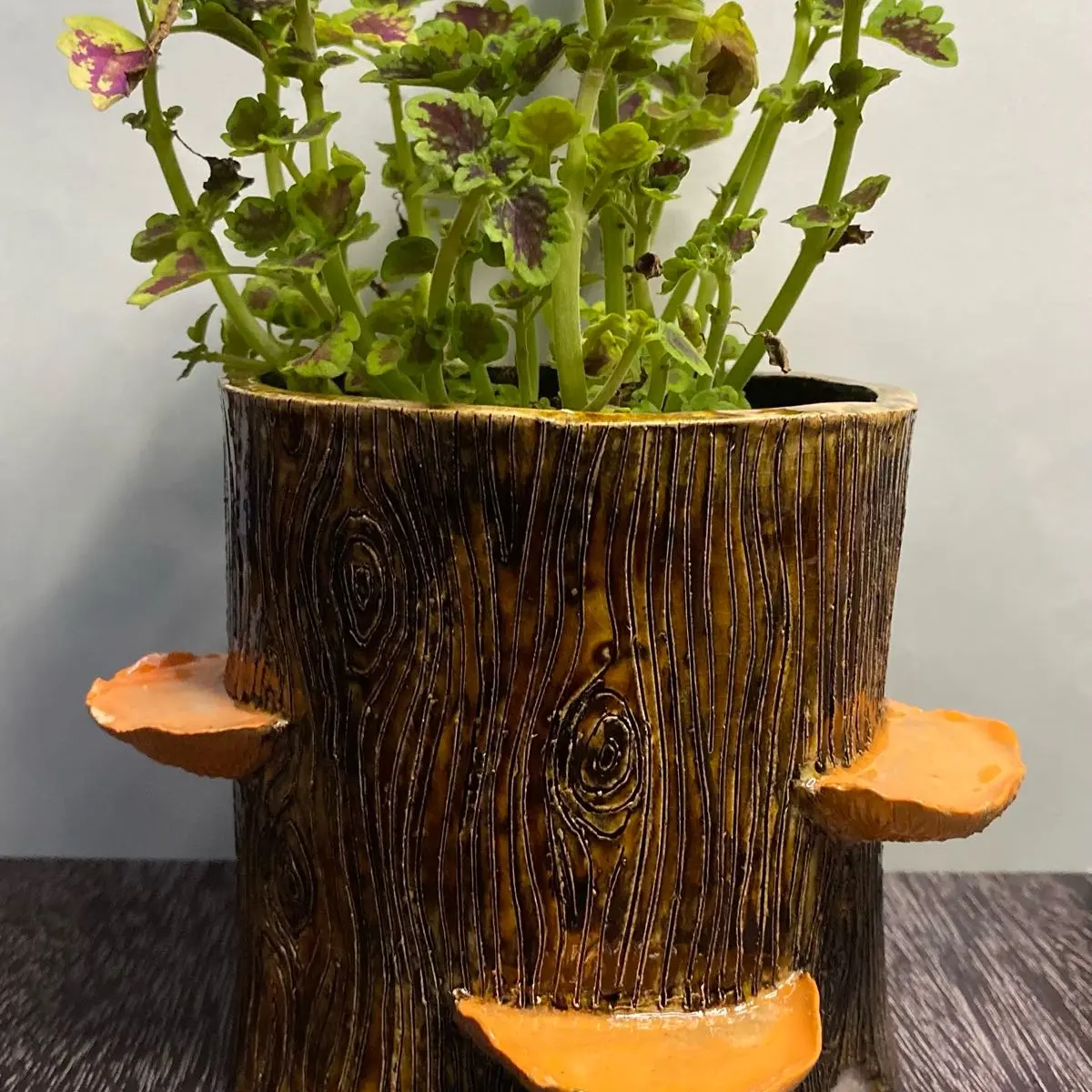 Ceramic Mushroom Tree Stump Planter