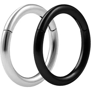 2 count 16g 5/16 Hinged Segment Rings Septum Norstril Seamless Clicker Hoop Cartilage Nose Lip Ear Tragus Helix - Pick Colors