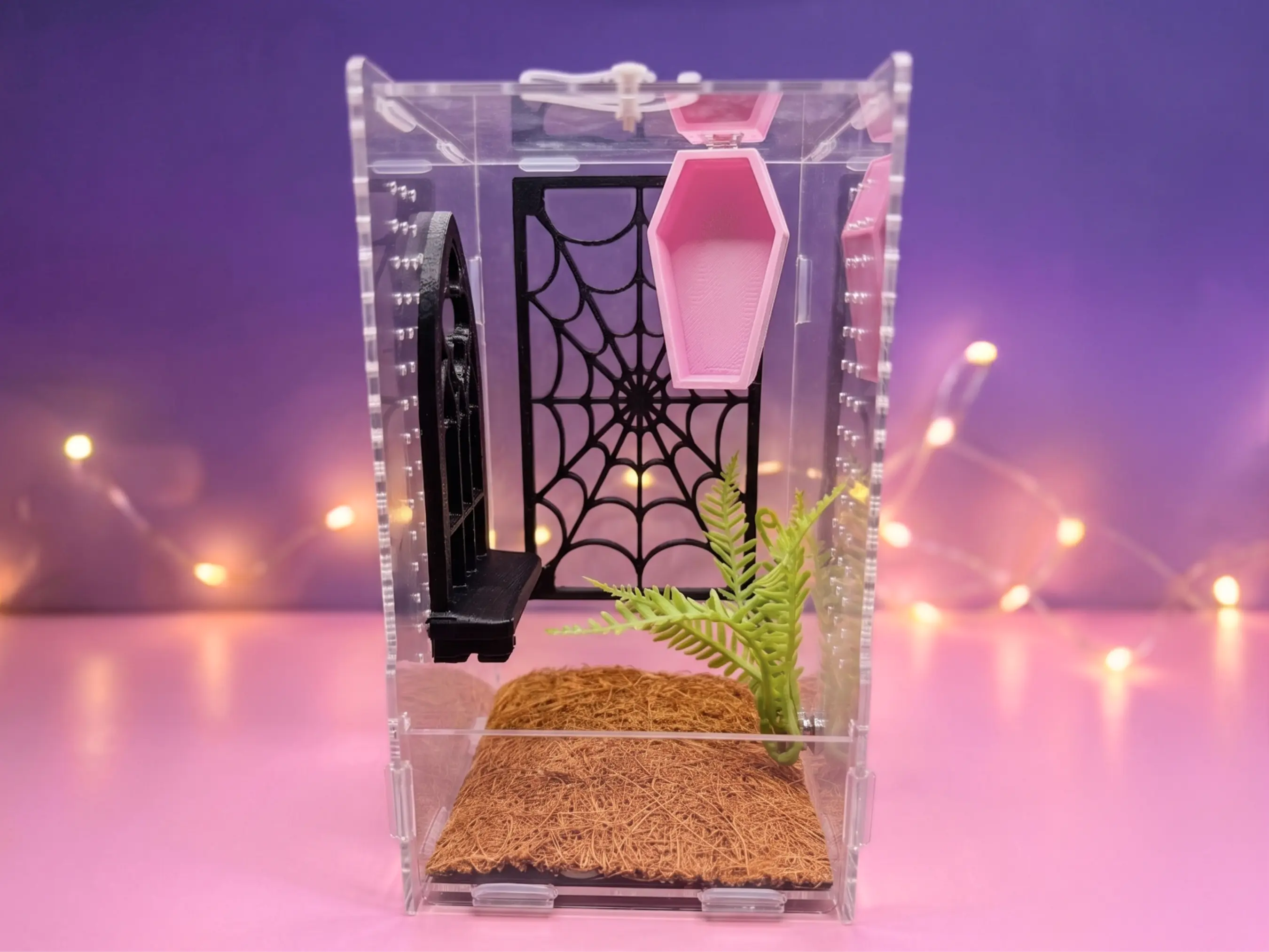 Gothic Jumping Spider Enclosure Accessory Set | Coffin Hide, Web Climbing Wall & Cathedral Window Ledge Starter Bundle