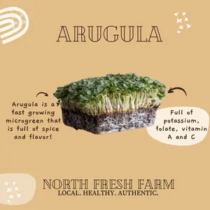 Arugula Microgreens Seeds