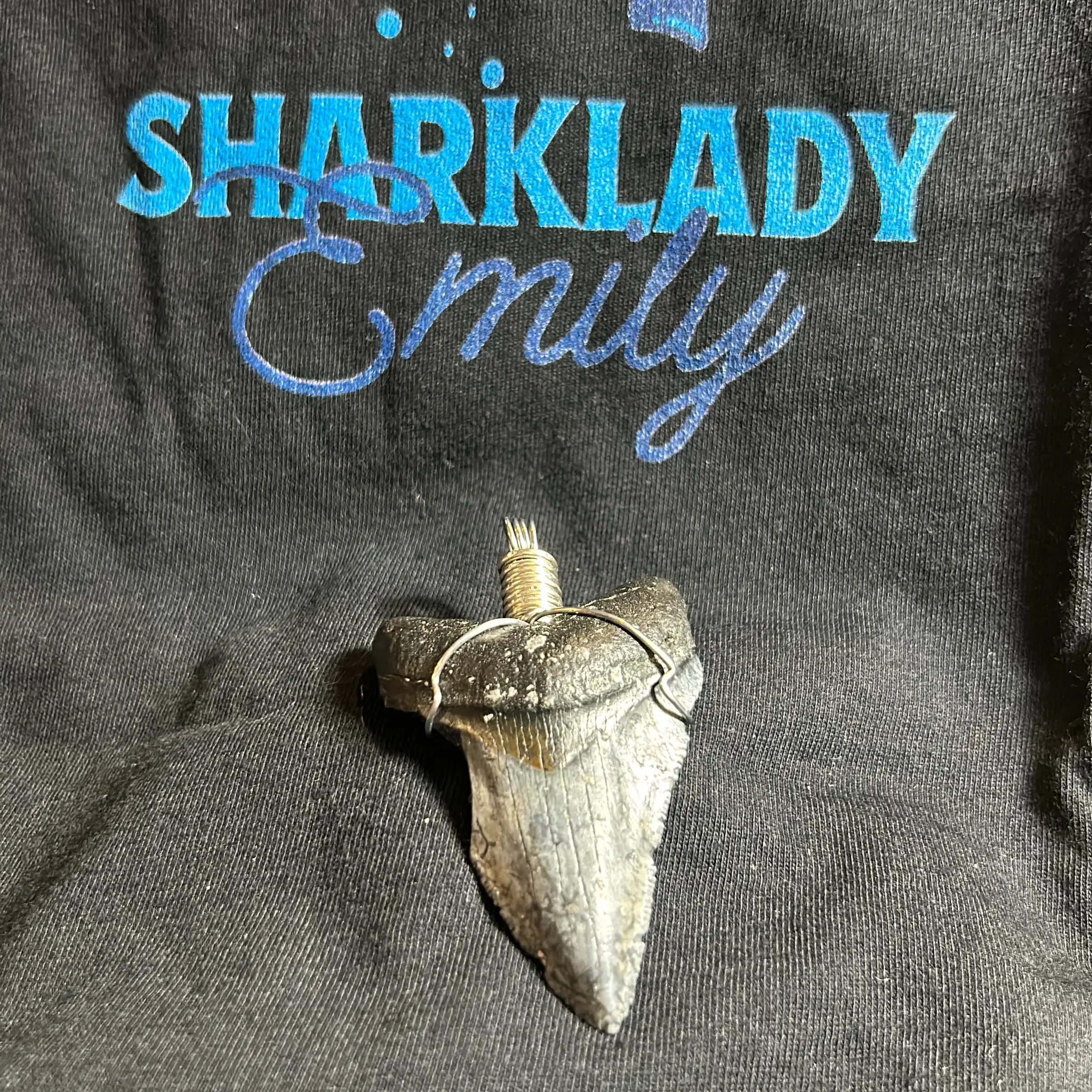 Megalodon tooth Pendant