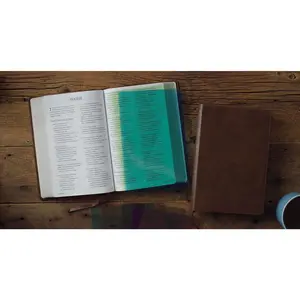 ESV Holy Bible: Dyslexia-Friendly Edition (TruTone, Brown)