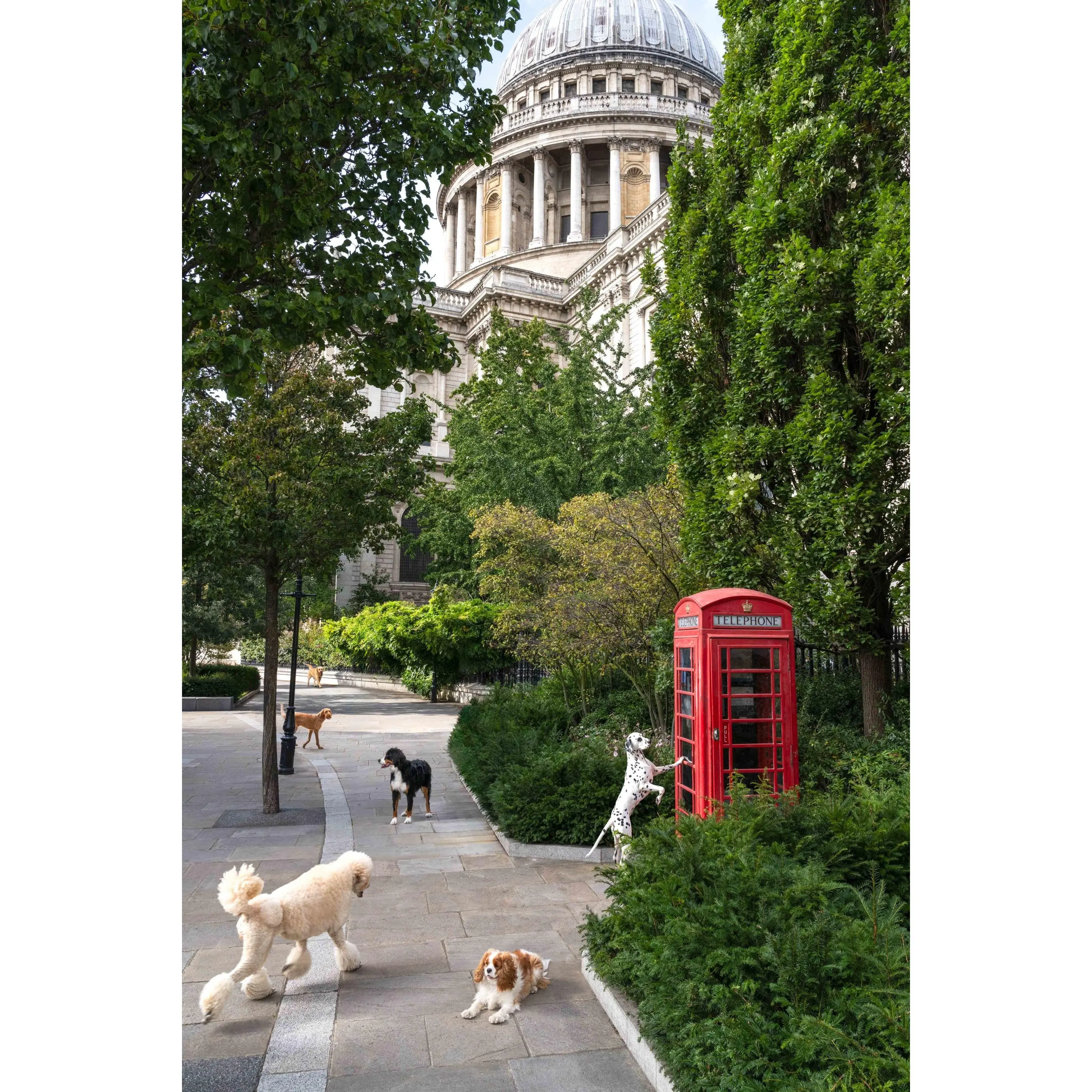 Telephone Box, St. Paul’s Cathedral, London