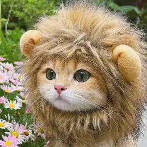 Lion mane Wig for Cats& Dogs - Funny Pet Costume with Ears (Bigger Size)