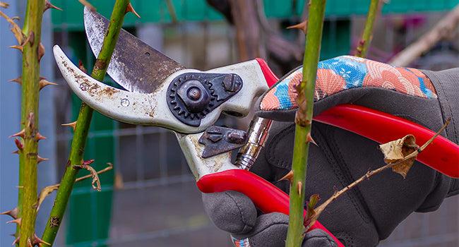 COOLJOB Thorn Proof Gardening Work Gloves for Women, Puncture Resistant Anti-Slip, Touchscreen (Orange) COOLJOB Thorn Proof Gardening Work Gloves for Women, Puncture Resistant Anti-Slip, Touchscreen (Orange)