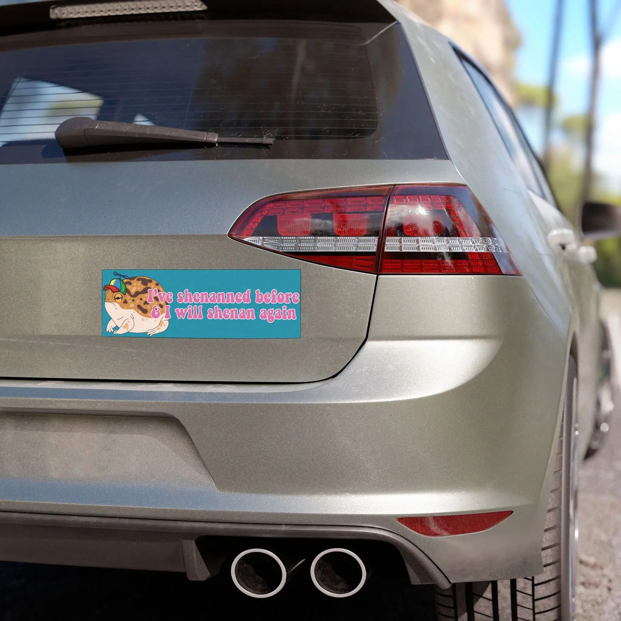 I've Shenanned Before and I Will Shenan Again Funny Hamster Car Magnet, Cute Magnetic Bumper Sign for Cars, Trucks and SUVs, Chaos Lover Gag Gift